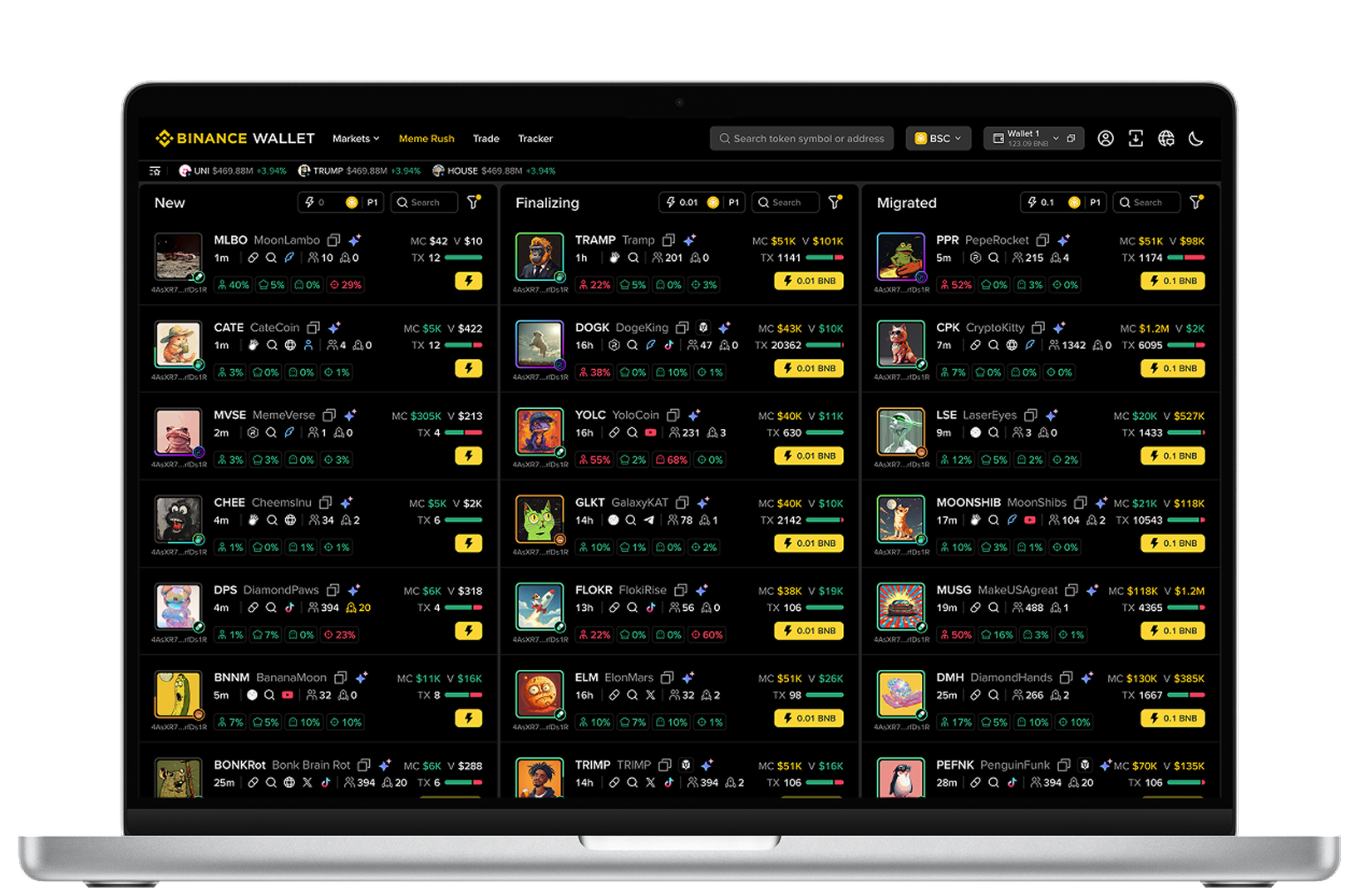 Binance Wallet desktop interface